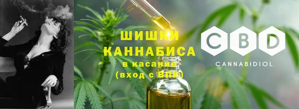 ECSTASY Заводоуковск