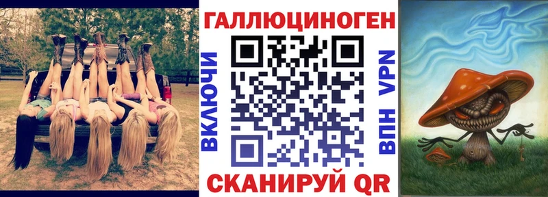 Галлюциногенные грибы Psilocybe  наркошоп  Оса 