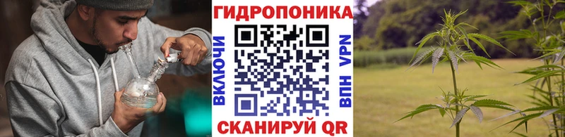 Бошки марихуана гибрид  купить закладку  Оса 